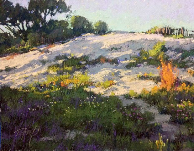 Terri Ford / Dappled dune